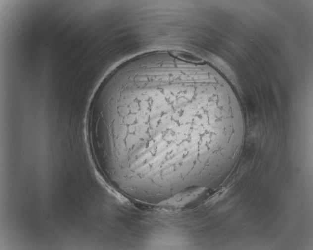 X0000073830958200608240947