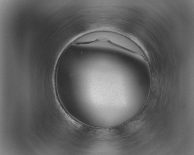 X0000073830959200608240947