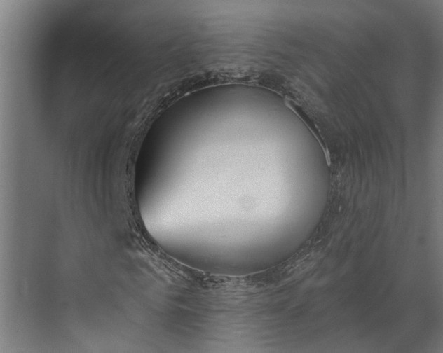 X0000073830961200608240947