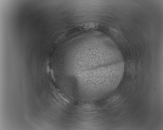 X0000073830962200608240947