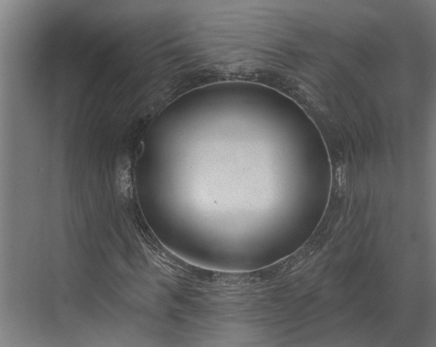 X0000073830963200608240947