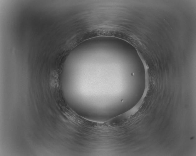 X0000073830964200608240947