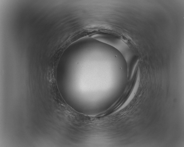 X0000073830965200608240947