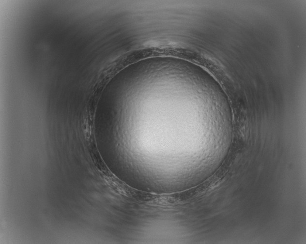 X0000073830966200608240947