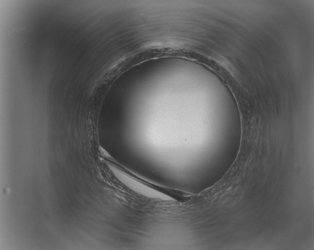 X0000073830967200608240946