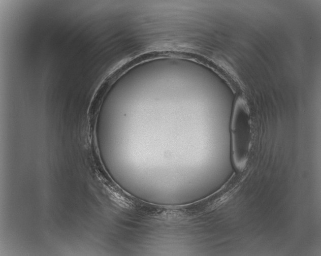 X0000073830974200608240946