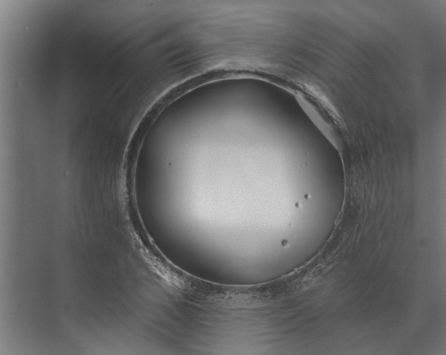 X0000073830976200608240946