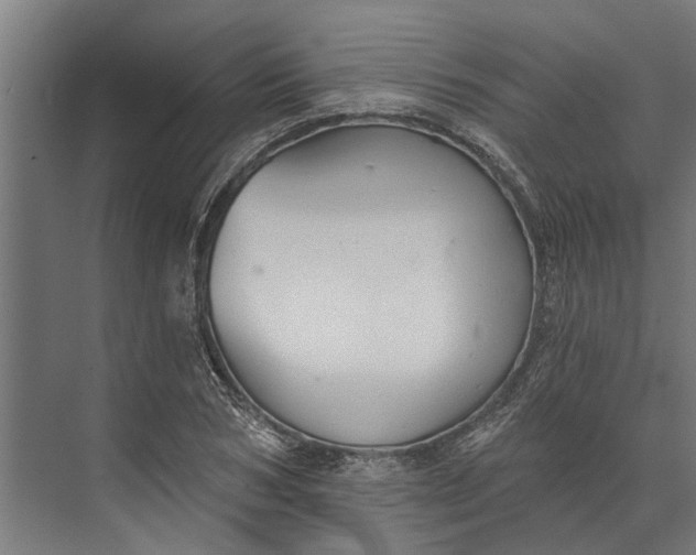 X0000073830978200608240946