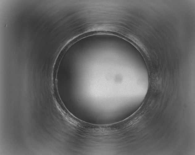 X0000073830980200608240946