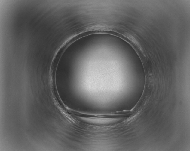 X0000073830981200608240946