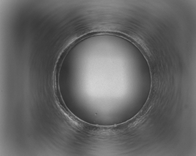 X0000073830982200608240946