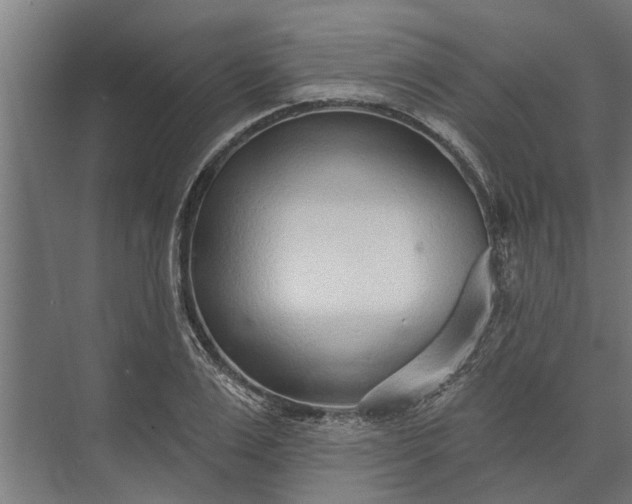 X0000073830983200608240946