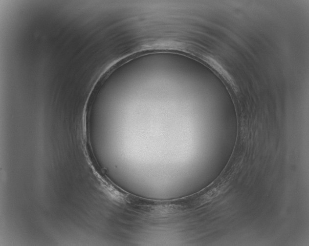 X0000073830988200608240946