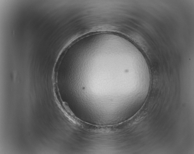 X0000073830990200608240946