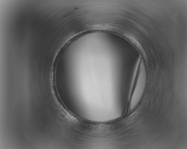 X0000073830992200608240946