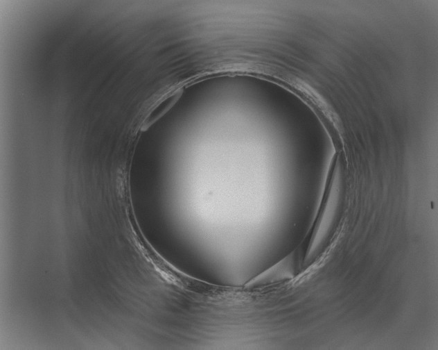 X0000073830993200608240946