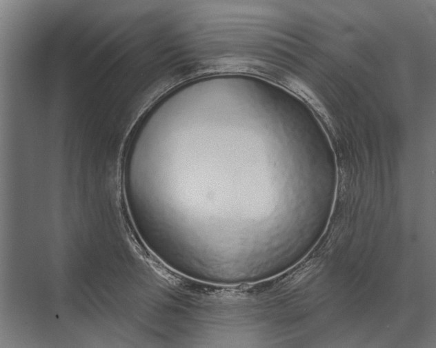 X0000073830994200608240946