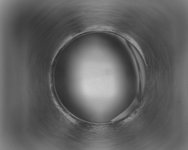 X0000073830997200608240946