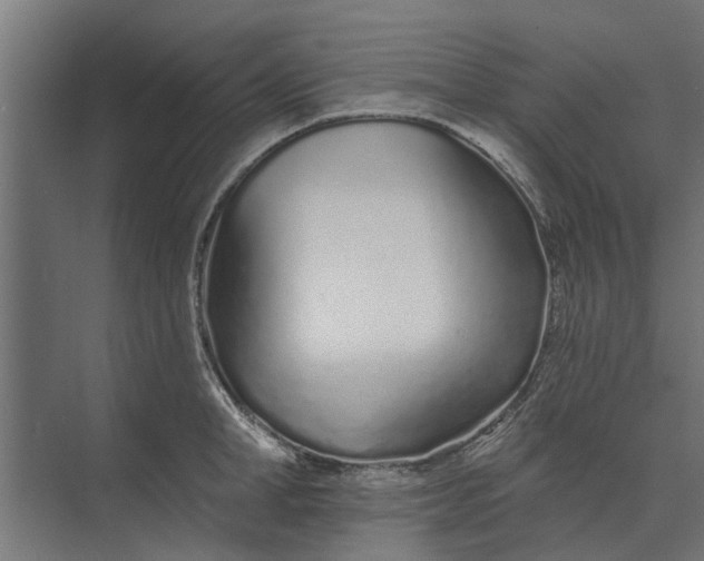 X0000073830998200608240946