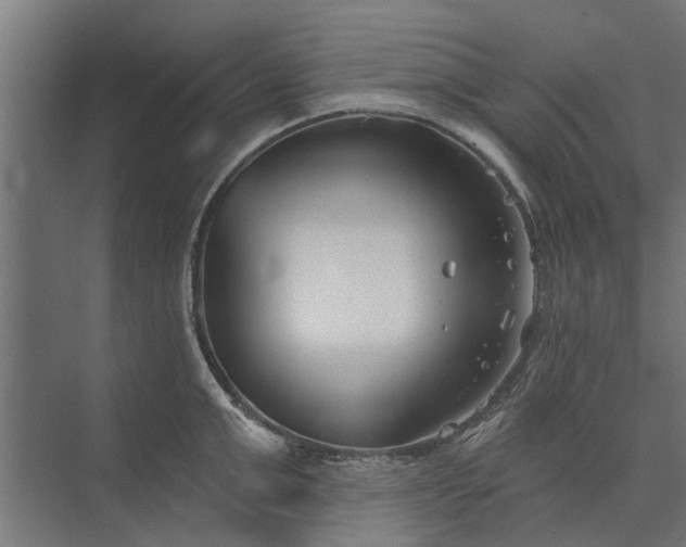 X0000073830999200608240946