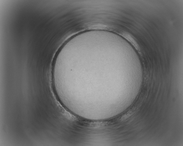 X0000073831000200608240946