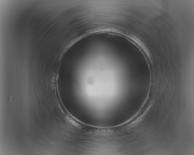 X0000073831001200608240946