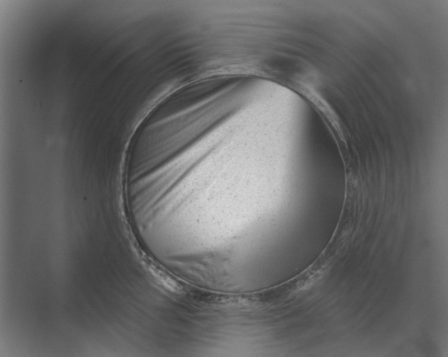 X0000073831002200608240946