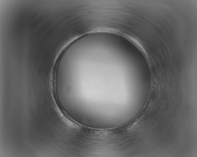 X0000073831003200608240946