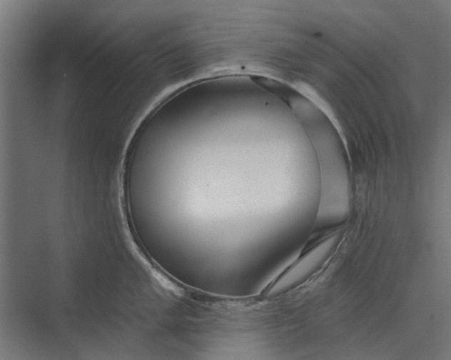 X0000073831005200608240946