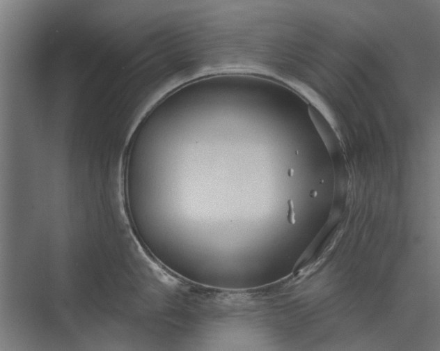 X0000073831006200608240946