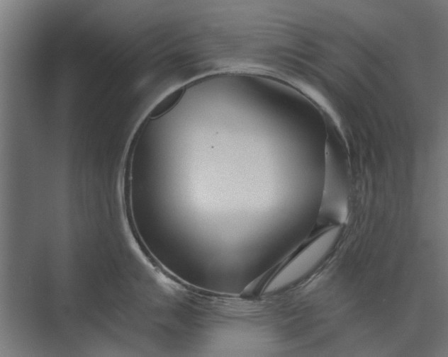 X0000073831007200608240946