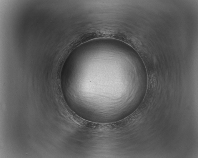 X0000073831009200608240945