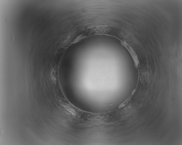 X0000073831010200608240945