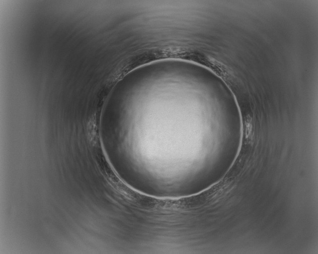 X0000073831011200608240945