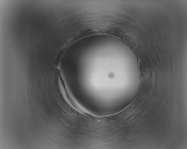 X0000073831012200608240945