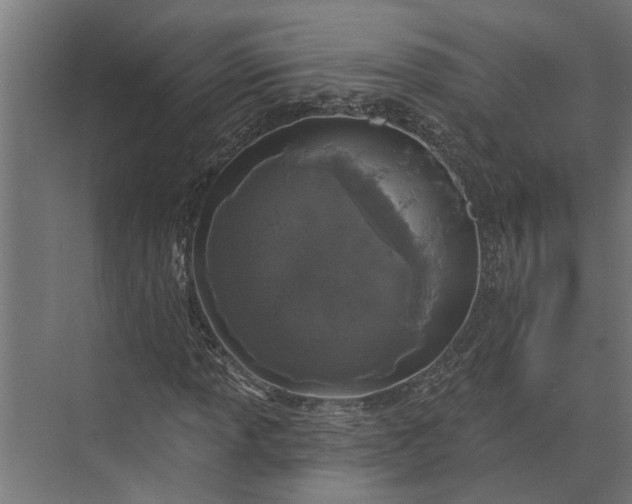 X0000073831013200608240945