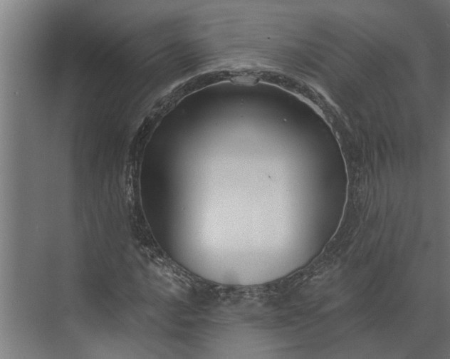 X0000073831016200608240945