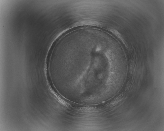 X0000073831024200608240945