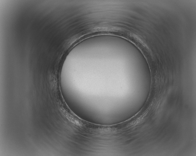 X0000073831025200608240945