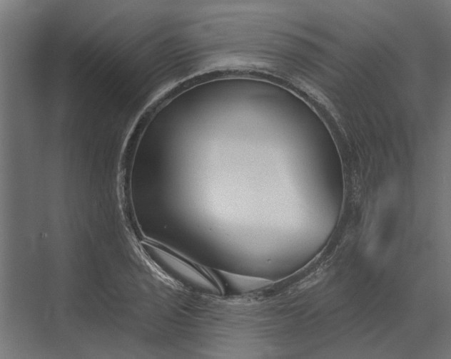 X0000073831029200608240945