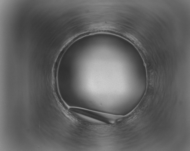 X0000073831031200608240945