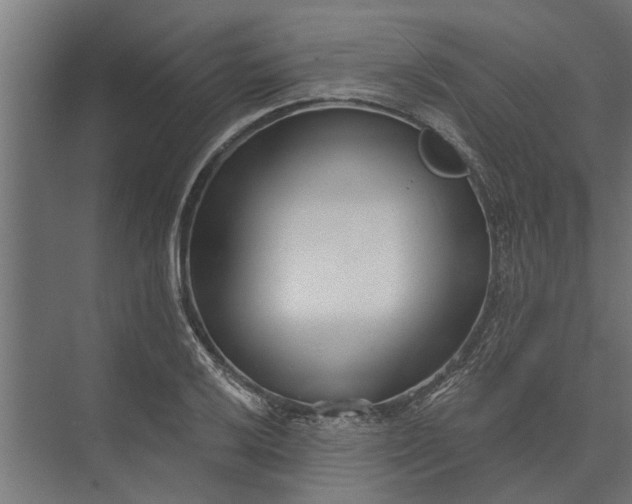 X0000073831032200608240945