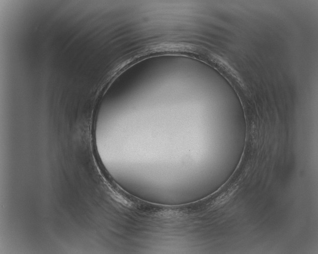 X0000073831033200608240945