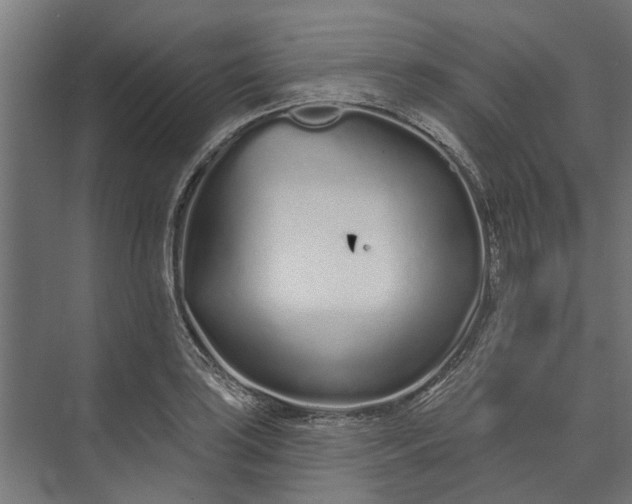 X0000073831035200608240945