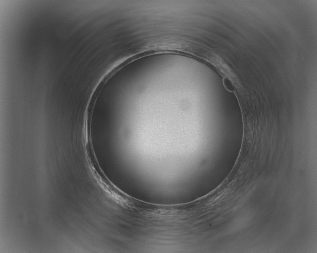 X0000073831036200608240945