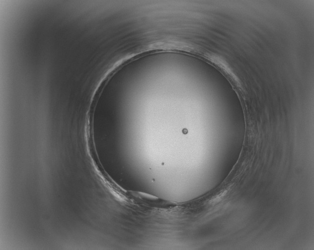 X0000073831040200608240946