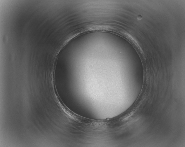 X0000073831041200608240946