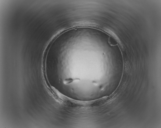 X0000073831043200608240946