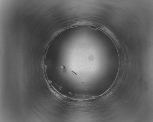 X0000073831049200608240946