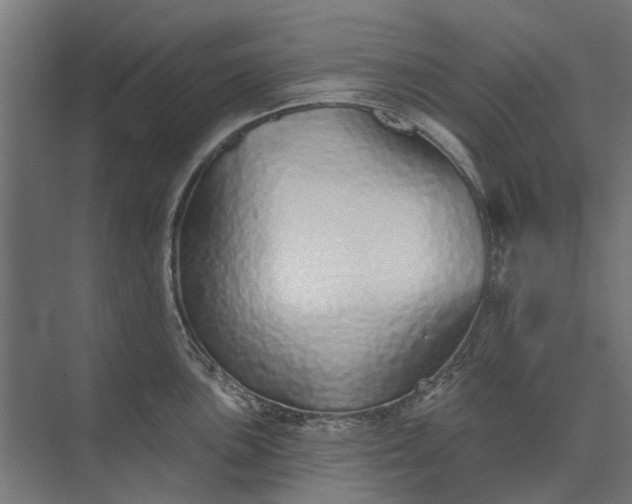 X0000073831051200608240946